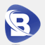 bosstaxes.com