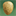 goldriverorchards.com