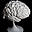 brainform.co.nz