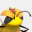 nuts-bee.com