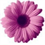 lezliejohnson.com