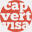 capvert-visa.com