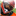 naild.deepsilver.com