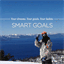 smartgoalsneverfail.com