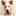 ruffelstiltskin.com