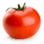 shinytomato.wordpress.com
