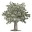 knowledgecapitalist.wordpress.com