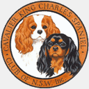 cavalierclubnsw.com