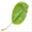 plantbites.nl