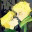 calvinjason.wordpress.com