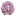 gloxinia.net