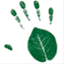 waldengreenschool.com