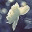 zhouxinblog.wordpress.com