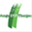 jsvp-thurgau.ch