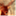 red-elk.com