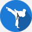 e-karate.si