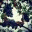 corteguarinona.wordpress.com