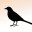 weemagpie.wordpress.com