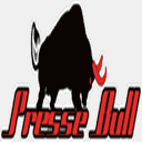 pressebull.it