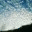 notesfromthehill.wordpress.com