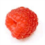 raspberryketonesfrance.com