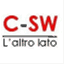 csidewriter.wordpress.com
