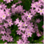 adventmanek.wordpress.com