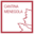 cantinamenegola.it