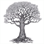 insightfulsoul.ca