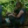 athinkingape.wordpress.com