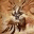 magiccombomeal.wordpress.com
