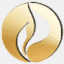 goldfinitii.com
