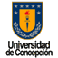 magisterinvestigacionsocial.cl