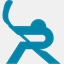 codesumo.net
