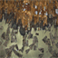 edwardburtynsky.com