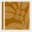 cafevolio.com