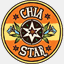 chiastar.com