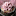 crumblesetcassonade.be