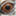 varaner.net