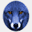 bluefox.at