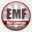 emf-websolutions.com