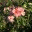 mdurmer.wordpress.com
