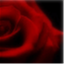 thetangoconnection.com