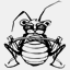bugbearday.org