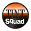 tintsquad.com