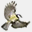 herve.michel.oiseaux.net
