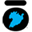 taupo.com