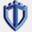 vysiontech.screenconnect.com