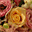 blomagalleri.is