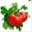 theveggiepatch.net